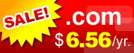 .com .net only sale $6.56